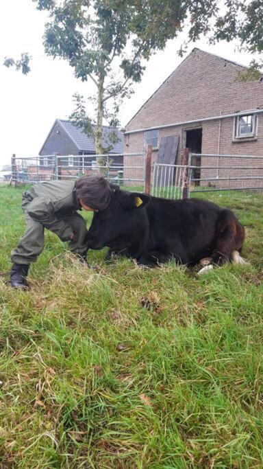 De Kaasmakerij - Ruim Vakantiehuisje Op Huize Blokland Hem Luaran gambar