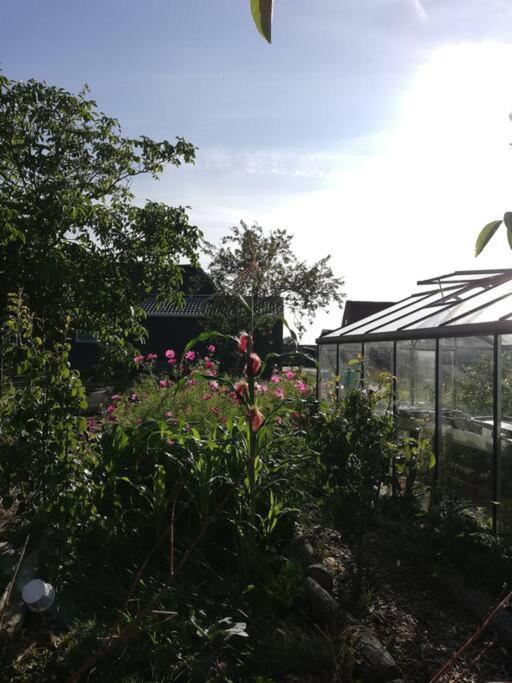 De Kaasmakerij - Ruim Vakantiehuisje Op Huize Blokland Hem Luaran gambar